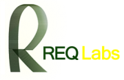 Конференция Req Labs 2011